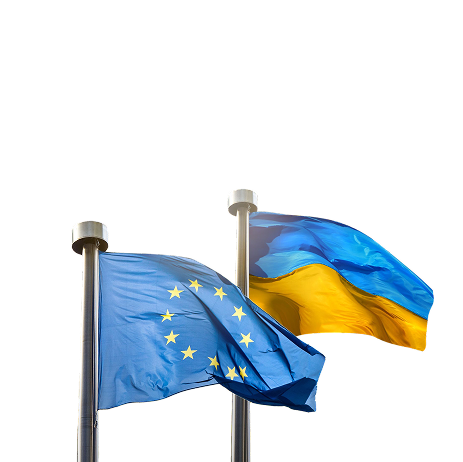 Міжнародна діяльність